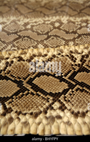 Background snake skin pattern brown and beige color Stock Photo
