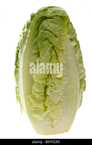 Little Gem variety lettuce Stock Photo