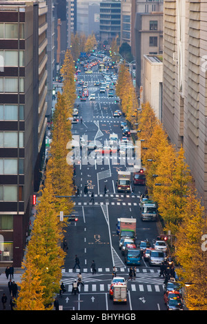 Autumn ginkgo trees line Daimyokoji Avenue, with traffic and pedestrians meshing in the Marunouchi business district of Tokyo, Japan's Chiyoda Ward.