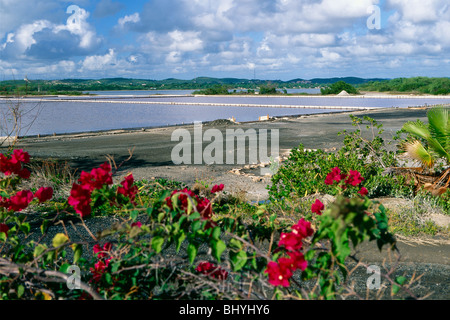 Salt Flats of Cabo Rojo, Puerto Rico Stock Photo