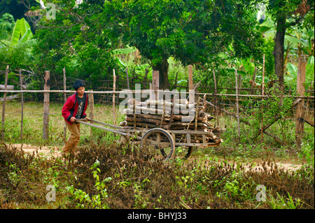 Laos Stock Photo