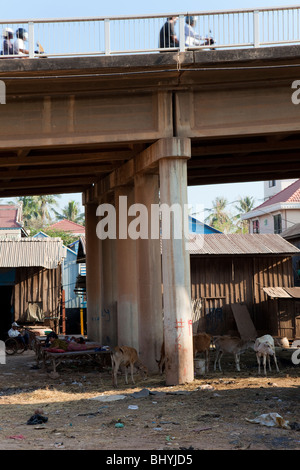 Cham squatters living under a bridge - Phnom Penh, Cambodia Stock Photo
