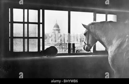 Horse overlooking St Paul's Cathedral from a mutli storey stable, London, 1920s. Artist: George Davison Reid Stock Photo
