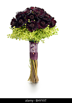 dark purple cosmos aster hand tied posy Stock Photo