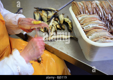 Preparation of herrings before the salting (62) Stock Photo