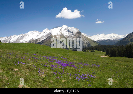 Haute-Savoie department (Upper Savoy) (74) : Beauregard Plateau Stock Photo