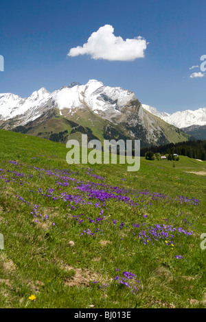 Haute-Savoie department (Upper Savoy) (74) : Beauregard Plateau Stock Photo