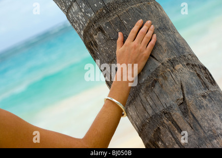 IMAGE OF A WOMAN LOOKING OUT TO SEA  WITH PALM Stock Photo