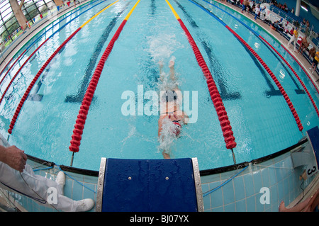 Indoor swimming pool competition winner at finish line Stock Photo - Alamy