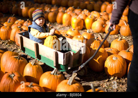 Young boy riding in a wagon at the pumpkin patch. Stock Photo