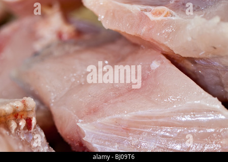 Raw fish fillets Stock Photo