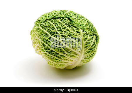 Savoy cabbage on a white background Stock Photo