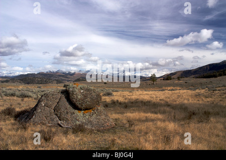 Lichen covered boulder. Lamar Valley, Yellowstone National Park. Absaroka Mountains in distance. Stock Photo