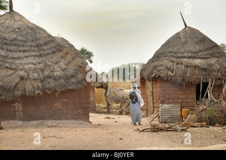 Homes in a village in The Gambia Stock Photo - Alamy