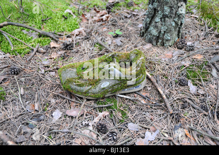 old shoe covered with moss Stock Photo