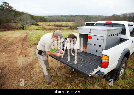 HUNTING GUIDE PREPARING DOG FOR HUNT PLACING OINTMENT ON DOGS BACK FOOT GEORGIA Stock Photo