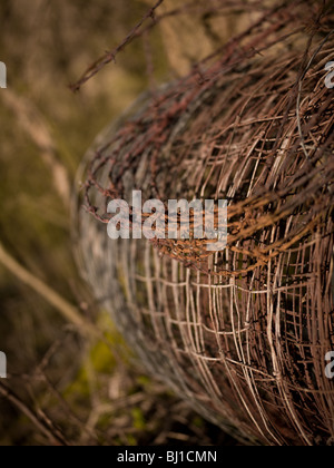 roll of barbed wire fencing. Stock Photo