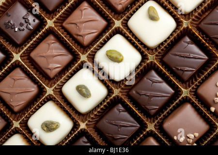 Handmade luxury chocolate in a box - shot in studio Stock Photo