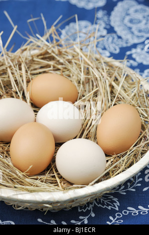 Fresh farm eggs Stock Photo