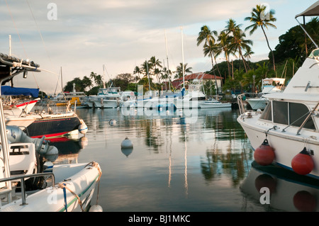 Lahaina Harbor, West Maui Hawaii showing big game fishing boats and pleasure boats, taken in the early morning Stock Photo