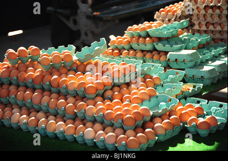 eggs on display at market in Paris Stock Photo
