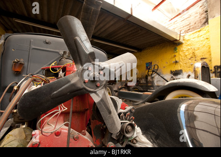 Classic car collection in Guadalajara, Mexico, North America Stock Photo