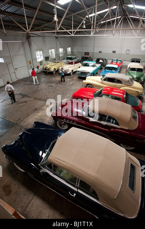 Classic car collection in Guadalajara, Mexico, North America Stock Photo