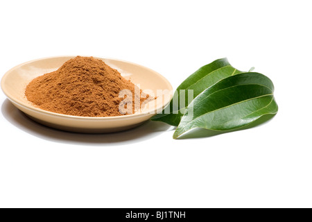 Close-up of ground cinnamon and fresh green leaves Stock Photo