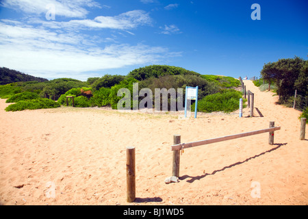 narrabeen beach and reserve , one of sydney's northern beaches Stock Photo