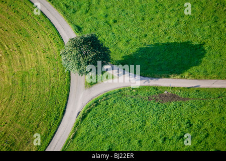 Country road and fields Stock Photo