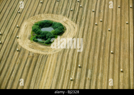 A pond in the center of a field Stock Photo
