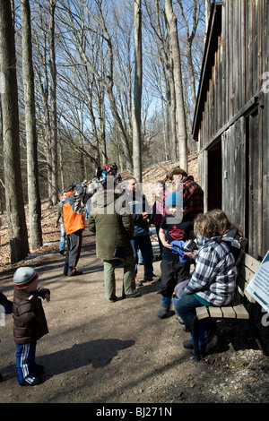 People at Maple Syrup Harvest in Northern Ontario;Canada Stock Photo