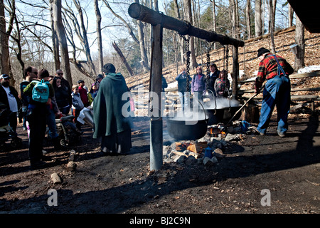 Maple Syrup Harvest in Northern Ontario;Canada Stock Photo