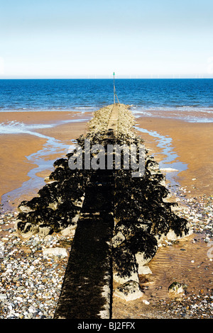 Seaweed covered stone breakwater leading into the Irish Sea at Old Colwyn, North Wales Stock Photo