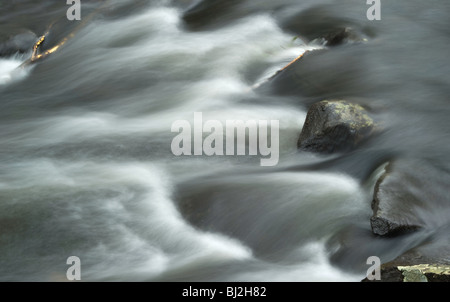 Rapids in the Swift River, Quabbin Reservoir, Massachusetts, USA. Stock Photo