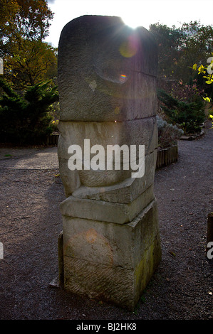 Stone Carving in Shorne Country Park Stock Photo