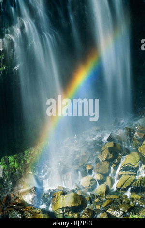 Rainbow formed from the spray of Narada Falls in Mt Rainier National Park, Washington State, United States Stock Photo