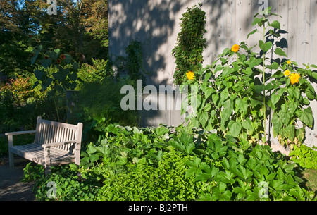 Connecticut Old Lyme Florence Griswold Museum The Home of American Impressionism garden bench Stock Photo