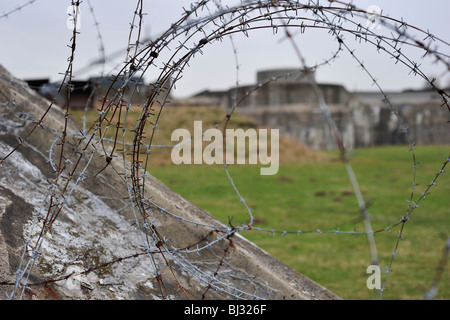 Barbed wire / barbwire at Fort Breendonk, Second World War Two concentration camp in Belgium Stock Photo