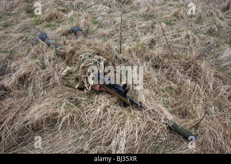 Lying in undergrowth, a camouflaged British infantry soldier is seen looking down the telescopic sight of a L115A3 sniper rifle. Stock Photo