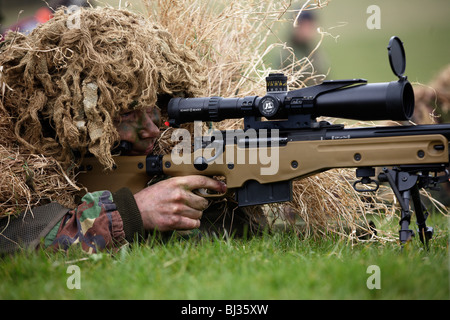 Lying on his stomach, a camouflaged British infantry sniper is seen looking down the telescopic sight of a L115A3 rifle. Stock Photo