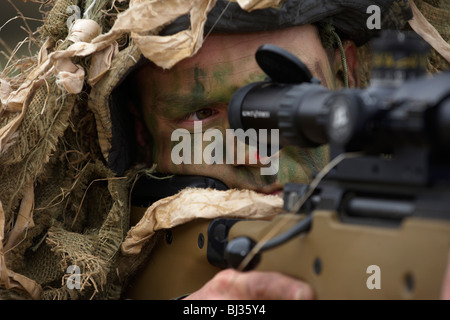 Lying in undergrowth, a camouflaged British infantry soldier is seen looking down the telescopic sight of a L115A3 rifle. Stock Photo