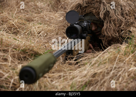 Lying in undergrowth, a camouflaged British infantry soldier is seen looking down the telescopic sight of a L115A3 rifle. Stock Photo