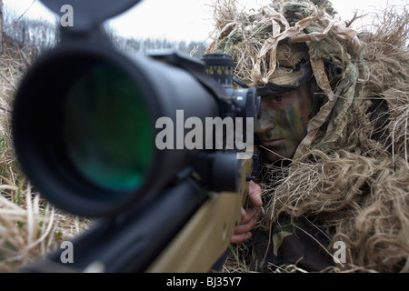 Lying in undergrowth, a camouflaged British infantry soldier is seen looking down the telescopic sight of a L115A3 rifle. Stock Photo