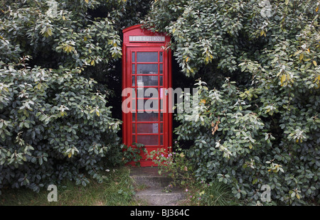 A classic, K-series red British Telecom (BT) pay phone box that is still in use sits surrounded by undergrowth Stock Photo