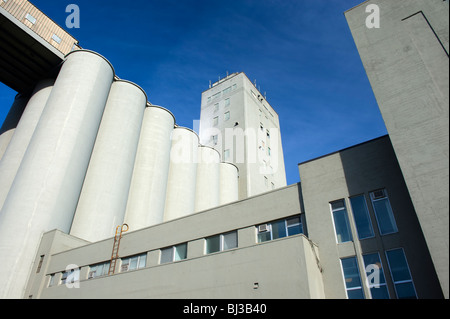 ADM building, formerly Five Roses Flour, grain silos and building in the southwest area of Montreal Quebec, Canada. Stock Photo