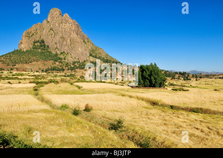 Terraced fields in the Adua, Adwa Mountains in Tigray, Ethiopia, Africa Stock Photo