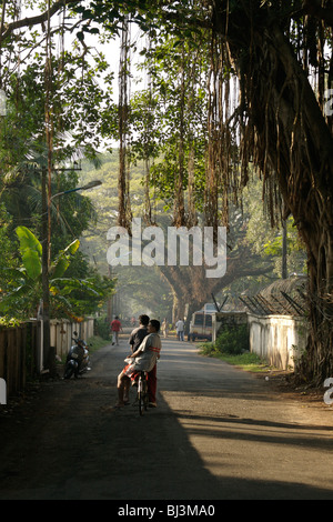 Commuters pass under a banyan tree on a Fort Cochin backstreet Stock Photo