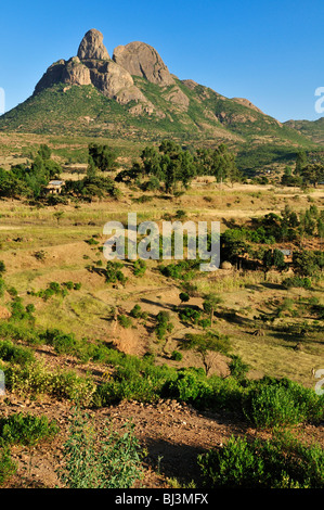 Terraced fields in the Adua, Adwa Mountains in Tigray, Ethiopia, Africa Stock Photo