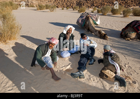 Nomad Bedouins of Sinai peninsula in Egypt on a camel Safari in Jebel Gunah area Stock Photo